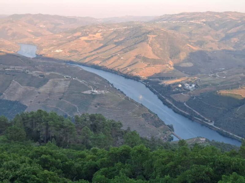 Favaios: Discover the Douro's hidden sweet secret, starting in Porto - Pinhão: The Heart of Douro Wine Country