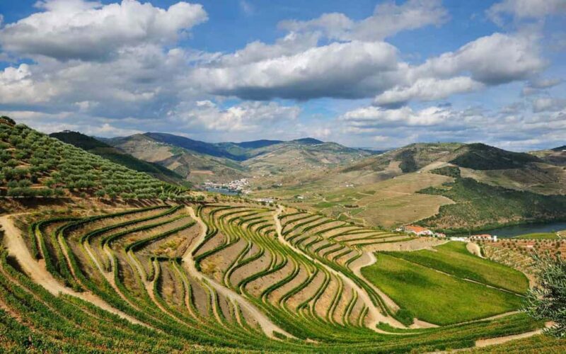 Favaios: Discover the Douro's hidden sweet secret, starting in Porto - Breathtaking Viewpoints and Scenic Drives in the Douro