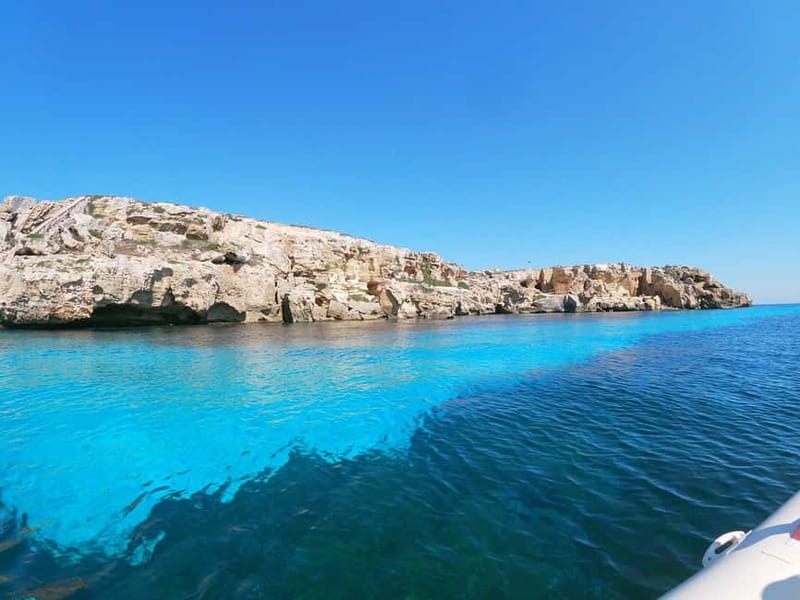 Favignana and Levanzo Island: Swim, Snorkeling and Lunch - Key Points