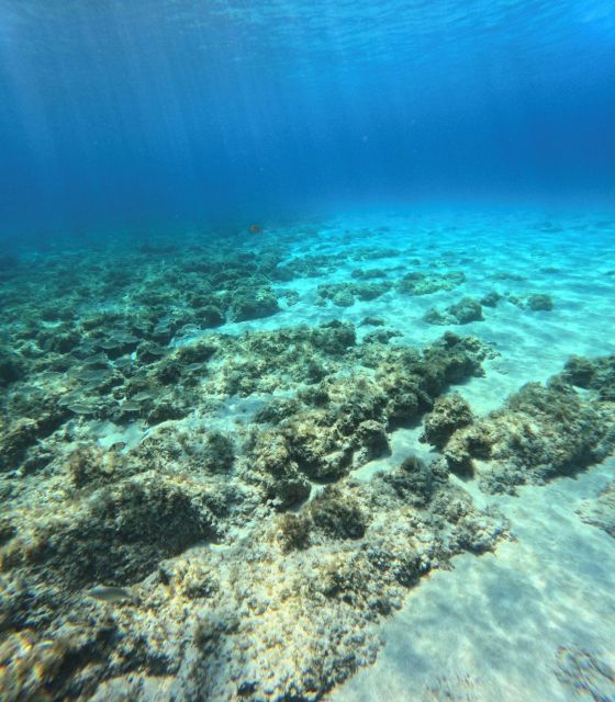 Favignana, Excursions by Dinghy from Marsala - Favignana: The Heart of the Tour with Cultural Highlights