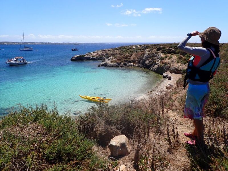 Favignana: kayak excursion, snorkelling and adventure - Discover Favignanas Coastal Beauty with a 5-Hour Kayak Excursion