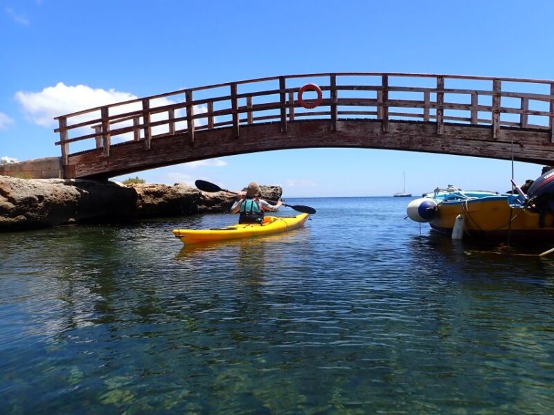 Favignana: kayak excursion, snorkelling and adventure - Comparing with Similar Favignana Water Tours