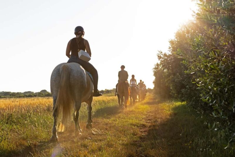 Fazana: Sunset 1-hour Horse Riding in Nature with Guide - Scenic Horse Riding Through Istria’s Verdant Landscape