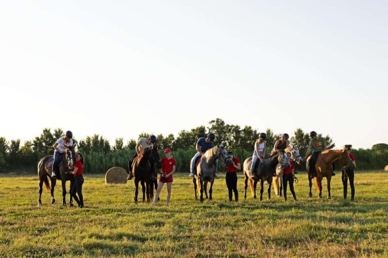Fazana: Sunset 1-hour Horse Riding in Nature with Guide - Practical Details: Meeting Point and What to Bring
