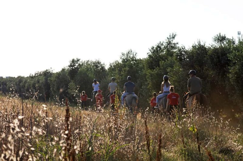 Fazana: Sunset 1-hour Horse Riding in Nature with Guide - Pricing and Value for Money