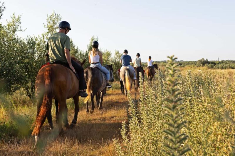 Fazana: Sunset 1-hour Horse Riding in Nature with Guide - Frequently Asked Questions