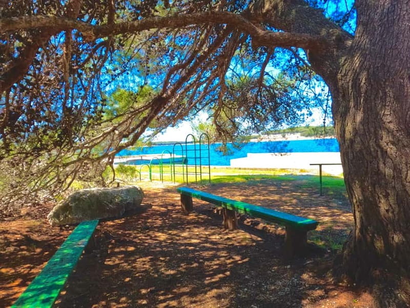 Fazana: Taxi to Sveti Jerolim island - Exploring Sveti Jerolim’s Natural Beauty and Marine Life