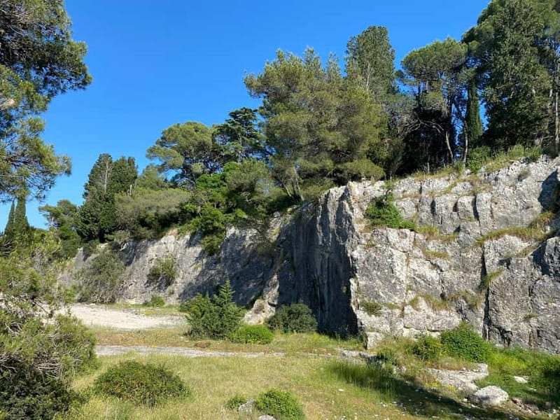 Fazana: Taxi to Sveti Jerolim island - Comparing with Similar Istrian Sea Tours