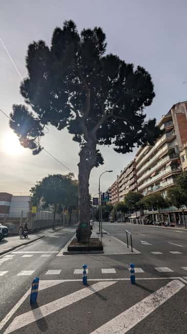 FC Barcelona History Immersive Walking Tour - Beer Included - The Historic Can Fusté and Key Football Events