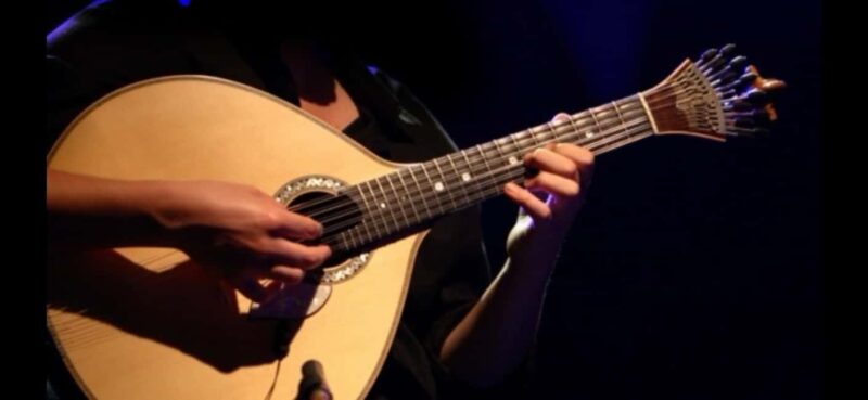 FC Porto Stadium, Lunch, Wine Cellar Tour and Fado Show - Key Points