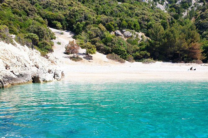 Fd boat-trip Medulin - Blue cave - Cres + lunch + dolphin search - Watching for Dolphins on the Return Trip