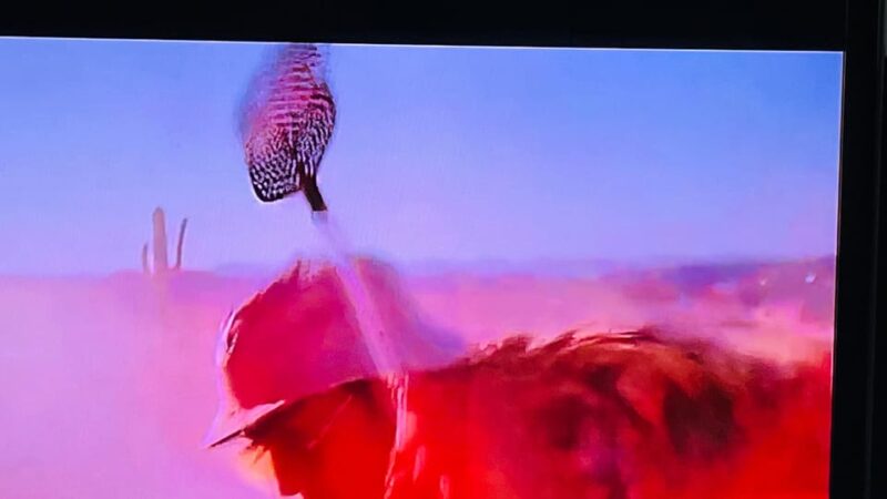 Fear And Loathing Experience! - Why the Fear and Loathing Tour Is a Good Fit