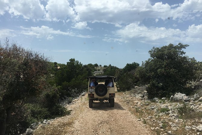 Feel and Taste island Brac with local experts - island adventure to remember - Relaxing at Zlatni Rat for Swimming and Sunbathing