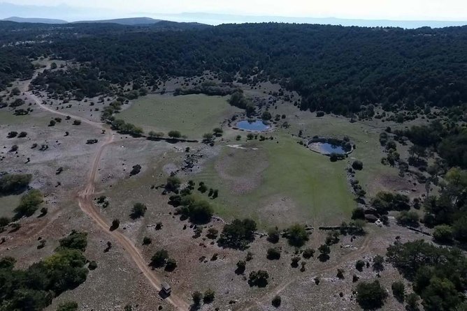 Feel and Taste island Brac with local experts - island adventure to remember - Discovering Olive Oil and Wine at Local Stops