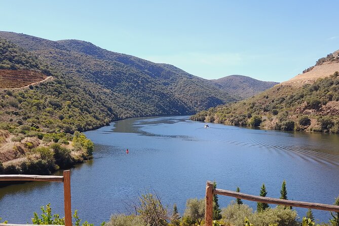 Feel Douro Tour - Scenic Views of the Douro and Vineyards