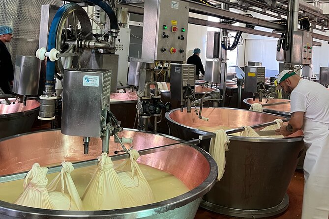 Ferrari, Parmesan and Balsamic Day Tour from Bologna - Unlock the Flavors and Speed of Emilia-Romagna in a Day