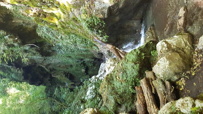 Ferriere waterfalls hike - Amalfi and Ravello Coast - Visiting the Lemon Groves and Fern Forests