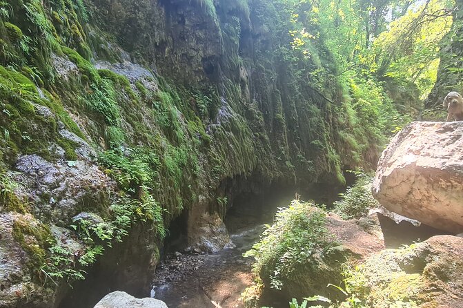 Ferriere waterfalls hike - Amalfi and Ravello Coast - Enzo Masullo, the Guide Leading the Way