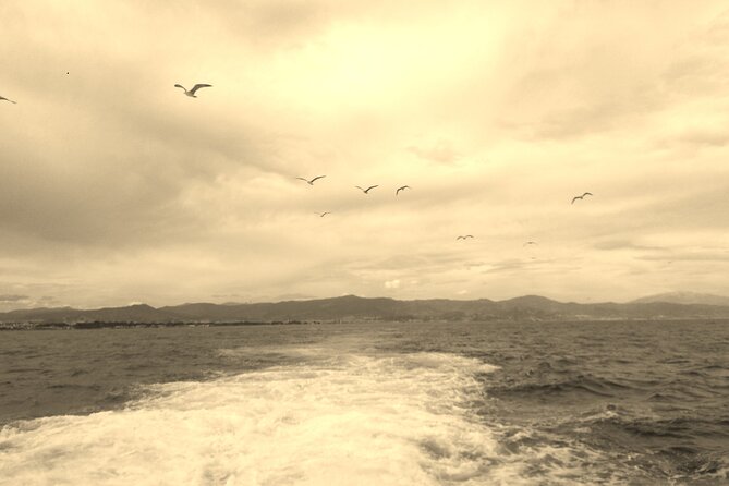 Ferry Benalmádena  Fuengirola - Who Will Enjoy This Coastal Ferry Experience?