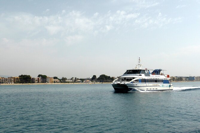 Ferry from Cambrils to Salou round trip - Accessibility and Group Size