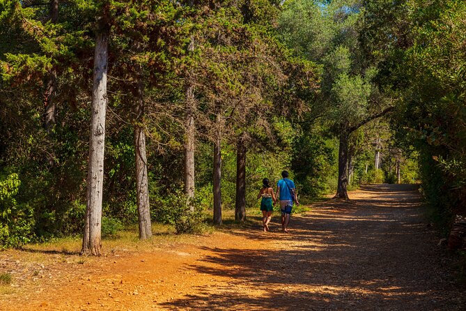 Ferry from Cannes to the island Ste Marguerite - Beaches, Swimming, and Water Activities on Sainte Marguerite