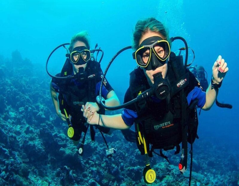 Fethiye: 2 Guided Scuba Dives with Lunch and Hotel Transfers - Two Underwater Encounters with Vibrant Marine Life