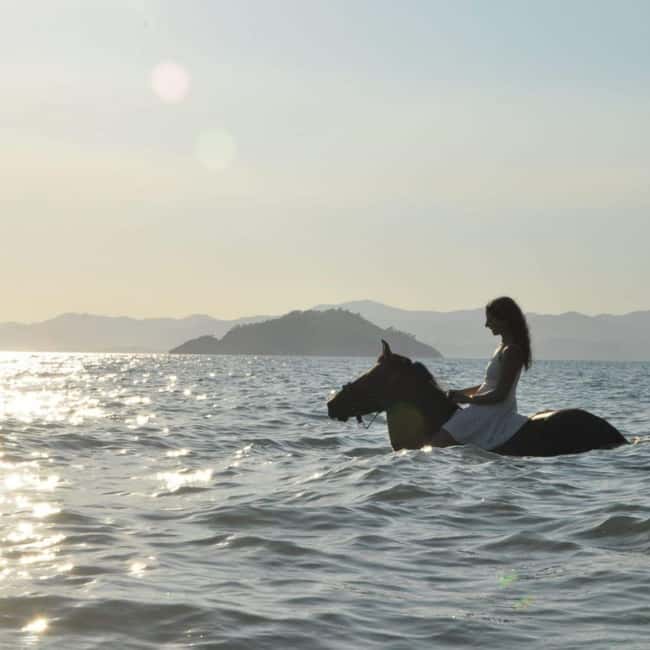 Fethiye Horse Riding in the Sea, Botanical Forest, Beach and Coastal Horseback Riding - Discover the Unique Sea and Forest Horseback Riding in Fethiye