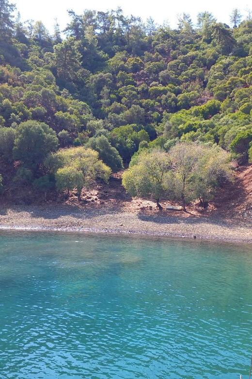 Fethiye: Islands Boat Trip with Lunch and Hotel Transfer - Practical Aspects: Logistics and Booking