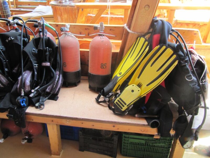 Fethiye: Professional Scuba Diving with Lunch - Experience the Best of Fethiye’s Underwater World for $78