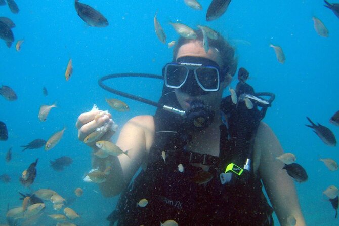 Fethiye Scuba Diving Experience By A Local Expert - The Instructors Role and Guide Style