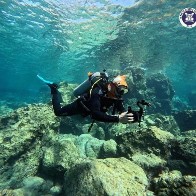 Fethiye Scuba Diving Tour: Free Shuttle Service - Lunch Included - Who Will Enjoy This Fethiye Scuba Tour Most?