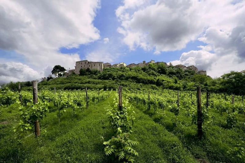 Feudi di San Gregorio: Wine Tasting Experience - The "FeudiStudi" Line Featuring Limited Editions