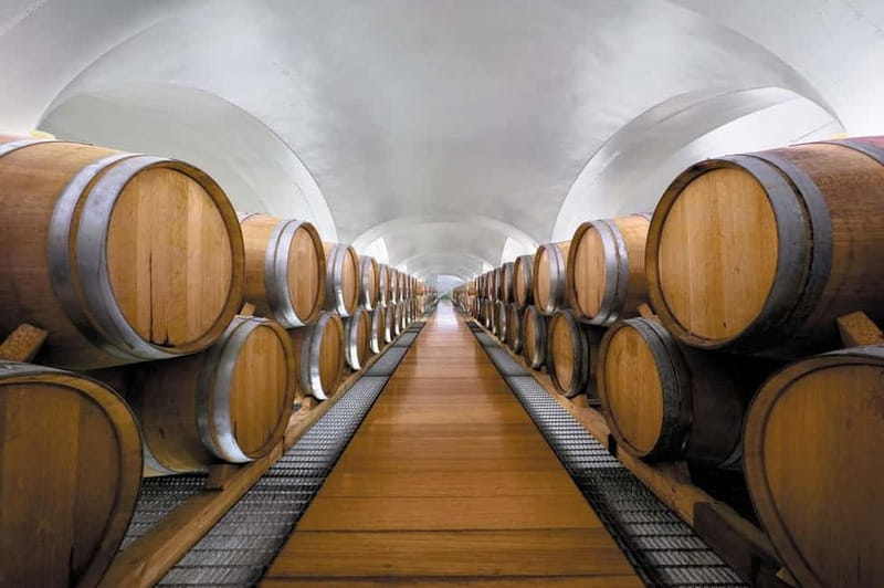 Feudi di San Gregorio: Wine Tasting Experience - Rarity Labels and Historic Vintages