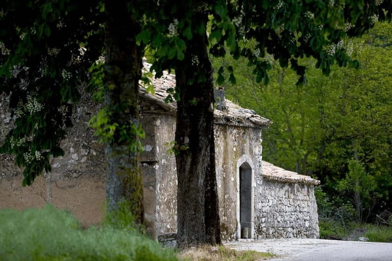 Feudi di San Gregorio: Wine Tasting Experience - The Tasting Menu: Typical Products and Local Flavors