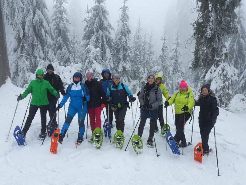 Fichtelgebirge: snowshoe hike - Key Points