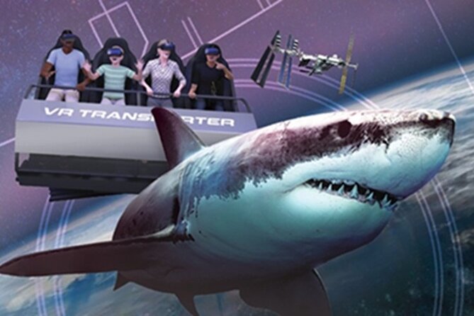 Field Museum Basic Admission Ticket Plus VR Experience - How the Virtual Reality Experience Complements Your Visit