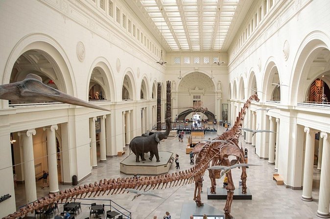 Field Museum Basic Admission Ticket Plus VR Experience - The Value of the Basic Admission Plus VR Tour