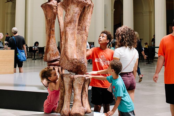 Field Museum of Natural History Admission Tickets - Exploring Ancient Cultures and Artifacts