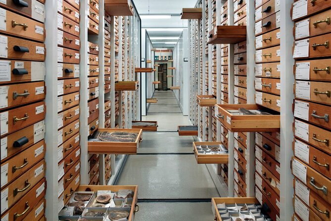 Field Museum of Natural History Early Access Ticket - What to Expect at the Iconic Exhibits