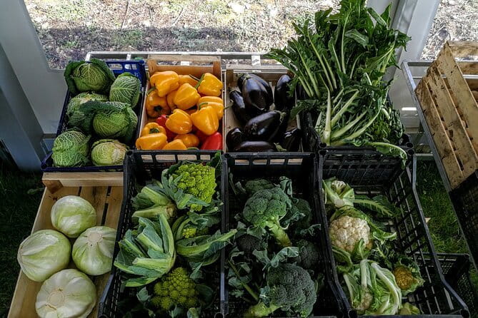 Fiesole: Tuscan Countryside Half Day E-Bike Tour & Farm visit - Equipment, Safety, and Physical Requirements