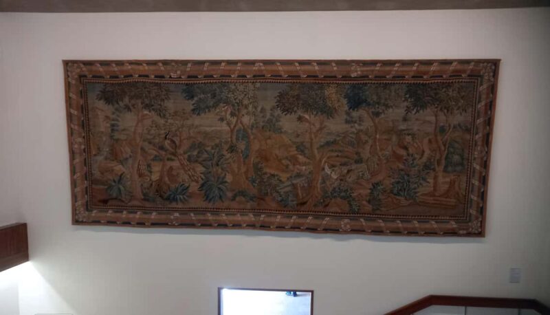 Figueira da Foz: Guided Walking Tour to a coastal town - Scenic Spots: Abadia Park, Sotto Mayor Palace, and Beach Oasis