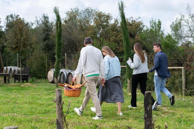 Figueres: Wine Tasting & Picnic with Artisan Products - Discover the Unique Wine Tasting & Picnic Experience at Clos de Basella