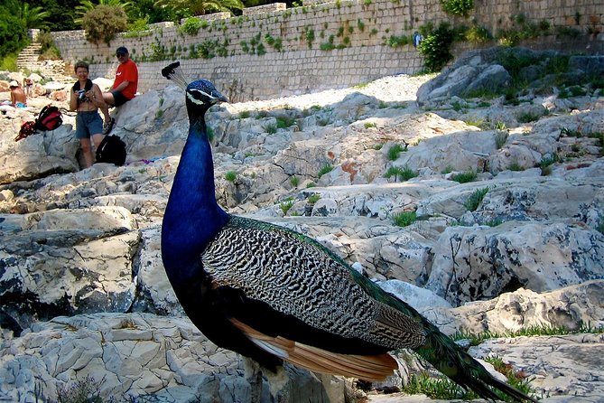 Filerimos Hill & Valley of Butterflies - Convenient Hotel Pickup and Comfortable Transport