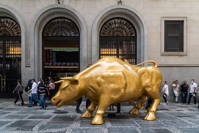 Financial Crisis Tour with a Finance Professional - Photo Opportunities at the Charging Bull