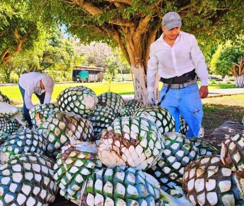 Finca 18 Tequila Tour w/ Chocolate Pairing + Pickup Point - Explore the Authentic Finca 18 Tequila Experience in Jalisco
