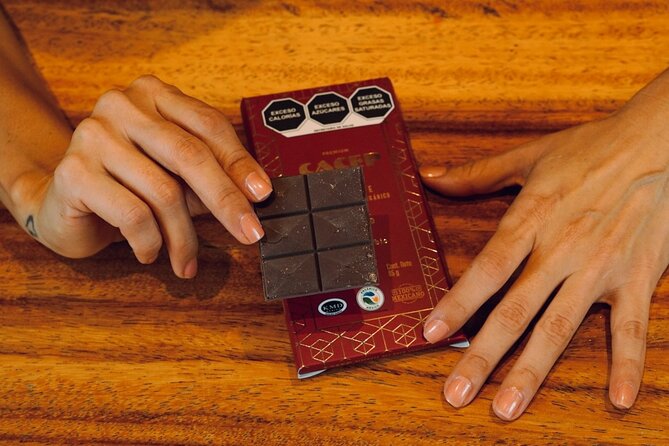 Fine Mexican Chocolate Tasting: A Sensory Luxury Journey - Start of the Experience at ZONA NOVEC in Tulums La Veleta