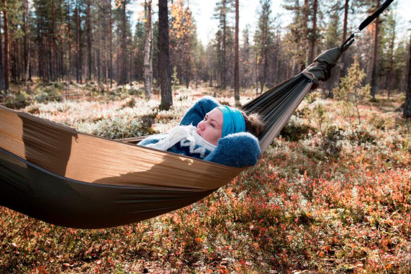 Finland Levi: Arctic Cocooning Experience in HaliPuu Forest - Key Points