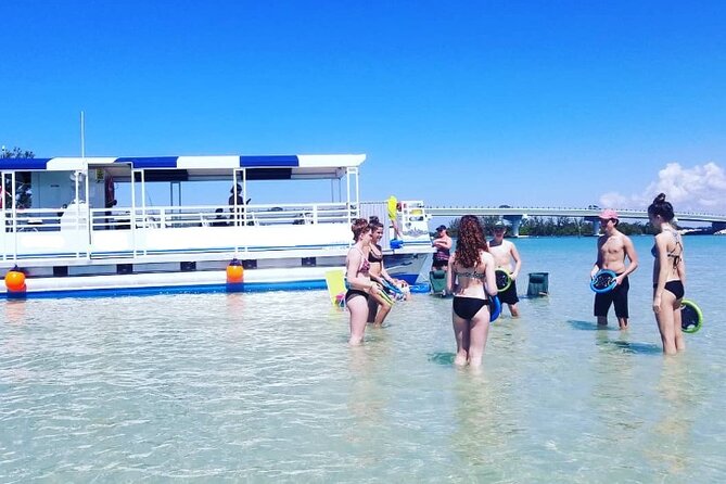 Fins Up - Dolphin & Island Sandbar Adventure in Clearwater Beach - Exciting Dolphin & Sandbar Cruise in Clearwater for Just $34.95