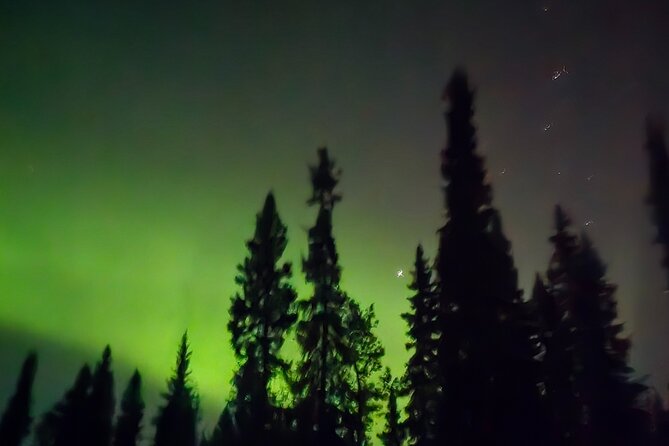 Fire & Ice: Chena Hot Springs, Ice Museum + Aurora Adventure - The Guide’s Role in Enhancing the Experience