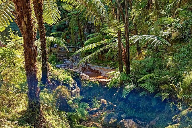 Fire Lagoon, Waterfall Route and Furna Tour - Visiting Gorreana Tea Plantation and Ribeira dos Caldeirões